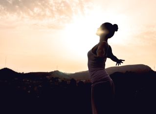A close-up of a vibrant sunflower in a field with a bee on its petals, highlighting nature's beauty.